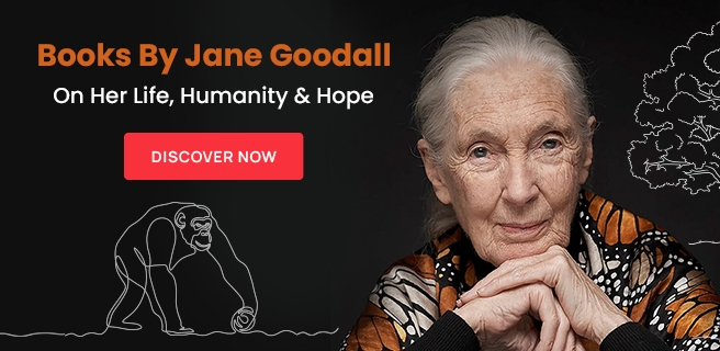 Jane Goodall, humanity